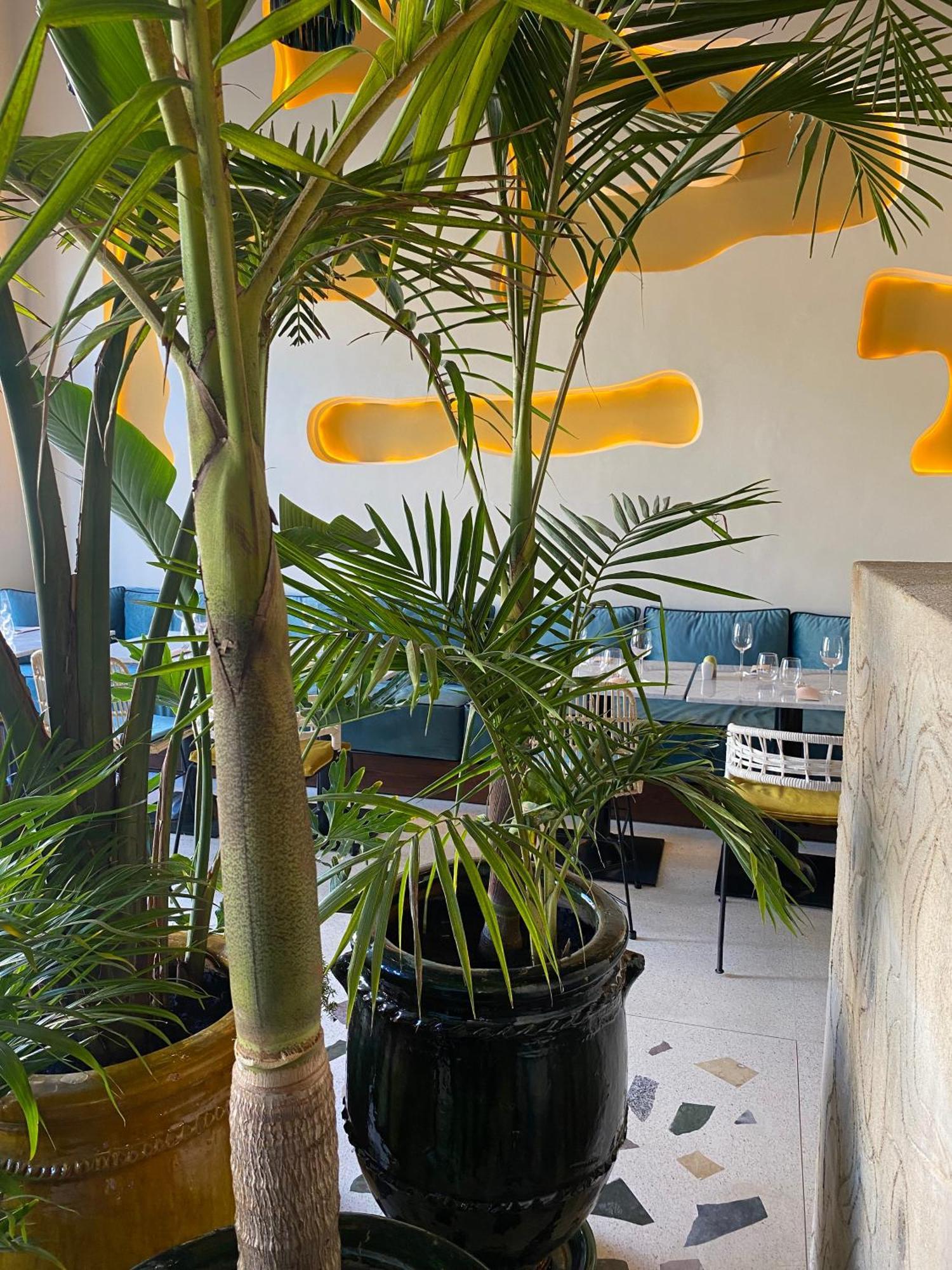 Le Palazzo Hotel Essaouira Eksteriør billede